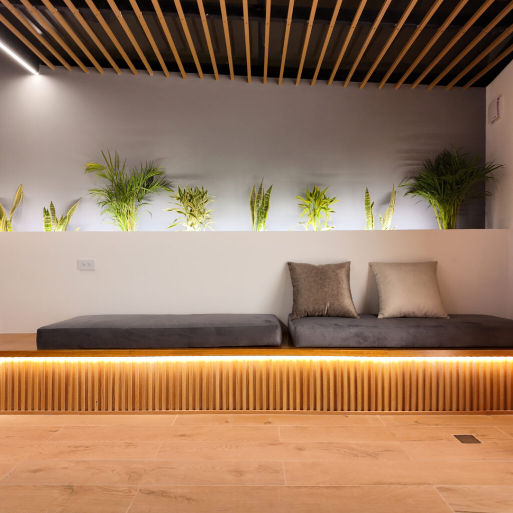 rosa bajana pergola 1