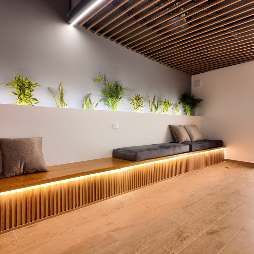 rosa bajana pergola 2